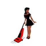 Sassysweeper - Other in Matteson