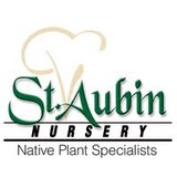 DE St Aubin Nursery - Other in Kirkland