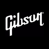 Gibson Guitar Corp - Guitar Stores in Chicago