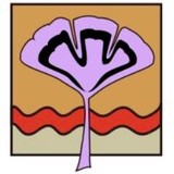 Brannick Michelle A DC - Chiropractors in Riverside