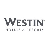 Starwood Hotels & Resorts - Hotels in Chicago