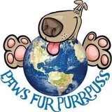 PawsFurPurrpuss - Other in Forest Park