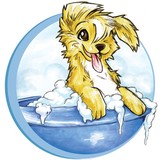 Animal Lovers Pet Salon - Pet Groomers in Chicago