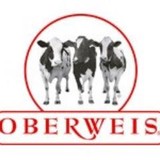 Oberweis Dairy Arlington Hts - Manufacturer in Arlington Heights