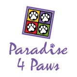 Paradise 4 Paws - Midway - Animal Boarding/Pet Boarding in Chicago