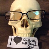 Anatomy Warehouse - Medical Equipment  & Appliances in Skokie