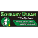 Squeaky Clean By Shelly Bean - Cleaning Services in Elk Grove Village