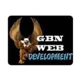 Gbn Web Development Inc - Other in Matteson