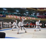 Hu Shin Kai Karate - Martial Arts in Chicago