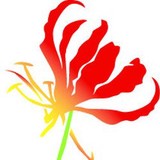 Bukiety Floral - Florists in Chicago