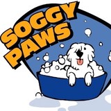 Soggy Paws Inc - Pet Groomers in Chicago