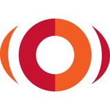 Cynergyze Consulting Inc - Business Consulting in Forest Park