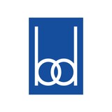 Blue Daring Consulting Inc - Graphic Design in Chicago