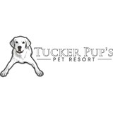 Tucker Pup's Daycare - Animal Boarding/Pet Boarding in Chicago