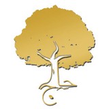 Elhaj Financial Service - Accountants in Chicago