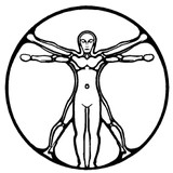 Irving Park Chiropractic - Chiropractors in Chicago