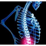 Chiropractic Chicago - Chiropractors in Chicago