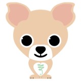 Green Dog Inc - Animal Boarding/Pet Boarding in Chicago