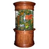 A Aquatic Works - Aquarium Supplies & Services in Northbrook