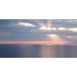 James C Anderson LLC - Other in Wilmette