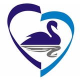 Hansa Medical Groupe, LLC - Other in Wilmette