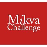 Mikva Challenge - Educational Consultants in Chicago