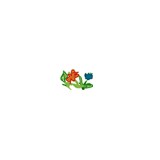 Flowerpetal.com - Florists in Chicago