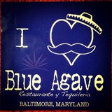 Blue Agave Restaurant - Mexican in Chicago