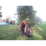 Love Em and Leash Em - Other in Lyons