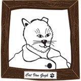 Catvando - Other in Maywood