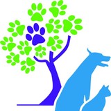 Olsen Cynthia DVM - Veterinarians/Vets in Chicago