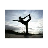 Hopkins Andrew G DC - Chiropractors in Schaumburg