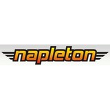 Napleton Auto Group - Car Dealers in Lansing