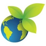 The Greener Cleaner Inc - Cleaning Services in Skokie