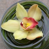 Stems Inc - Florists in Chicago
