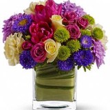 Veni Flowers & Gift - Wholesale in Schaumburg