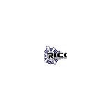 Rico Enterprises - Mobile Phone Accessories in Chicago