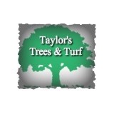 Taylor's Trees & Turf - Tree Services in Princeton