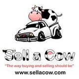 Sell A Cow - Furniture Stores in Chicago