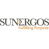 Sunergos LLC - Business Consulting in Arlington Heights