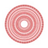 Institute for Coaching Chicago - Career Counseling in Chicago