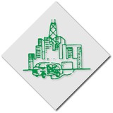 Manas Torcom Carpets - Other in Park Ridge