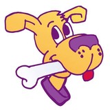 Dogone Fun - Animal Boarding/Pet Boarding in Chicago
