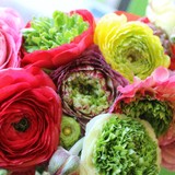 Flowers Flowers - Florists in Evanston
