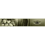 Tohtz Kristine DC - Chiropractors in Chicago