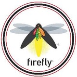 Firefly Legal - Process Servers in Chicago
