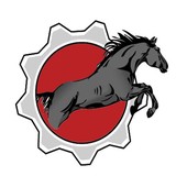Equine Muscle Maintenance - Veterinarians/Vets in Schaumburg