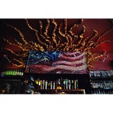 Alive One - Pubs in Chicago