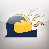 Rising Holdings Inc - Data Processing Services in Chicago
