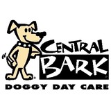 Central Bark Doggy Day Care - Pet Stores in Chicago